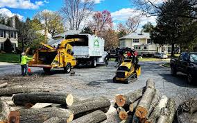 Best Seasonal Cleanup (Spring/Fall)  in Fort Davis, TX