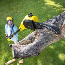 Mulching Services in Fort Davis, TX